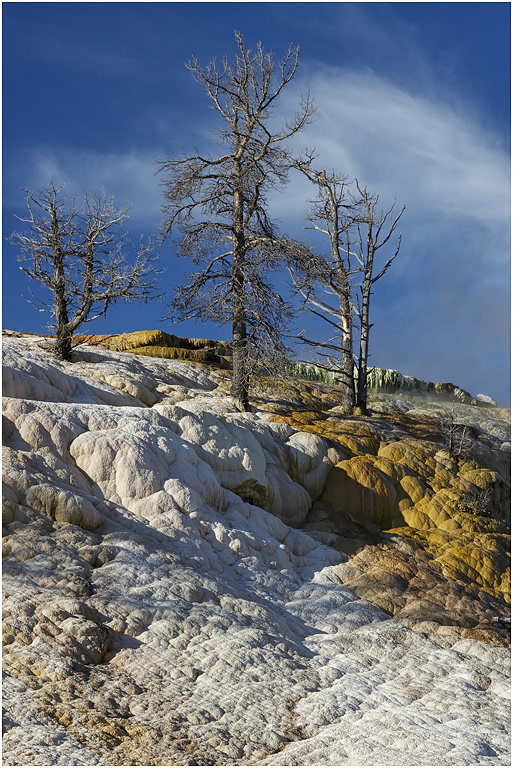 Lower Terrace, Mammoth, Yellowstone NP