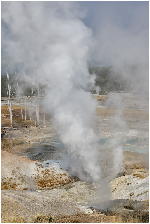 Ledge Geyser, Norris Basin, Yellowstone
