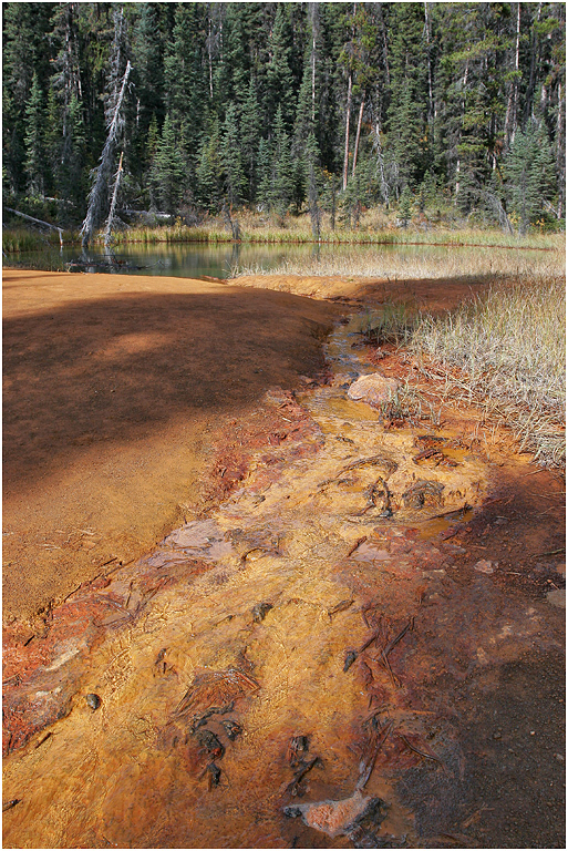 Iron rich mineral deposits, Paint Pots, Kootenay NP, BC