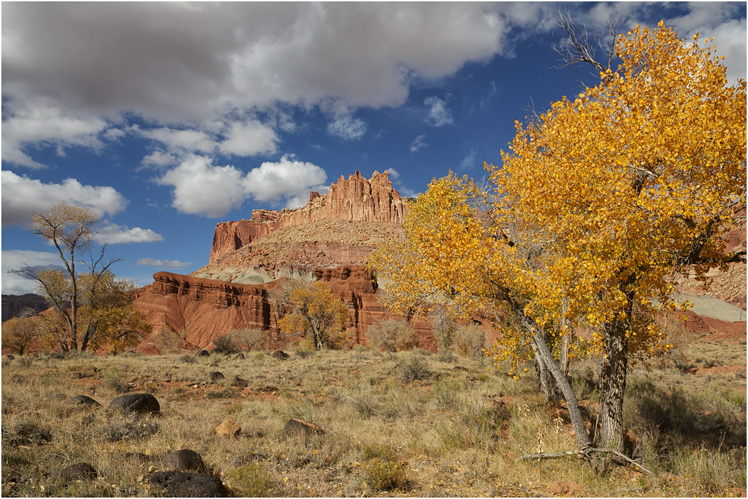 The Castle & Aspen, Utah