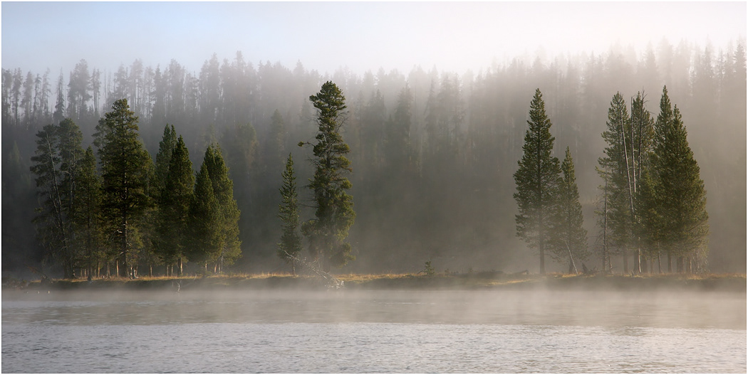 Yellowstone River, Hayden Valley, Yellowstone