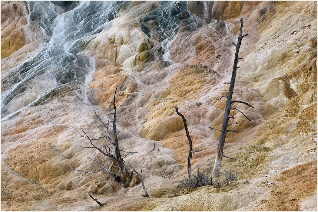 Lower Terrace, Mammoth, Yellowstone NP