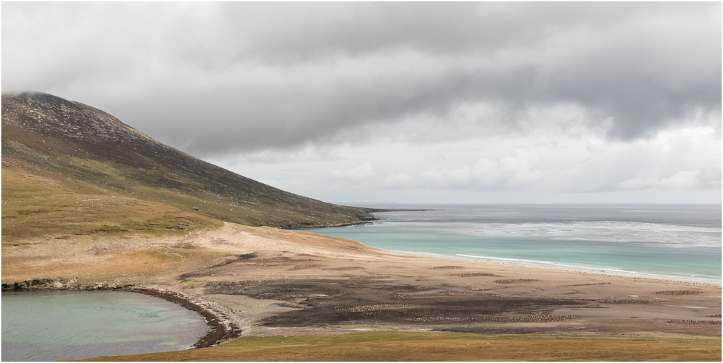 The Neck, Saunders Island