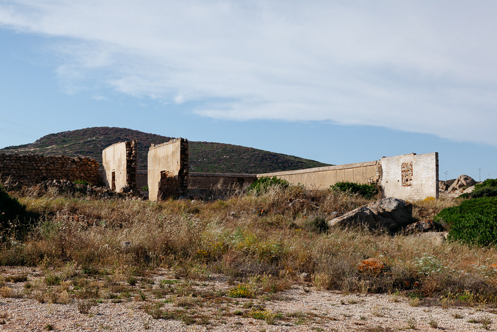 Isola dell'Asinara #22