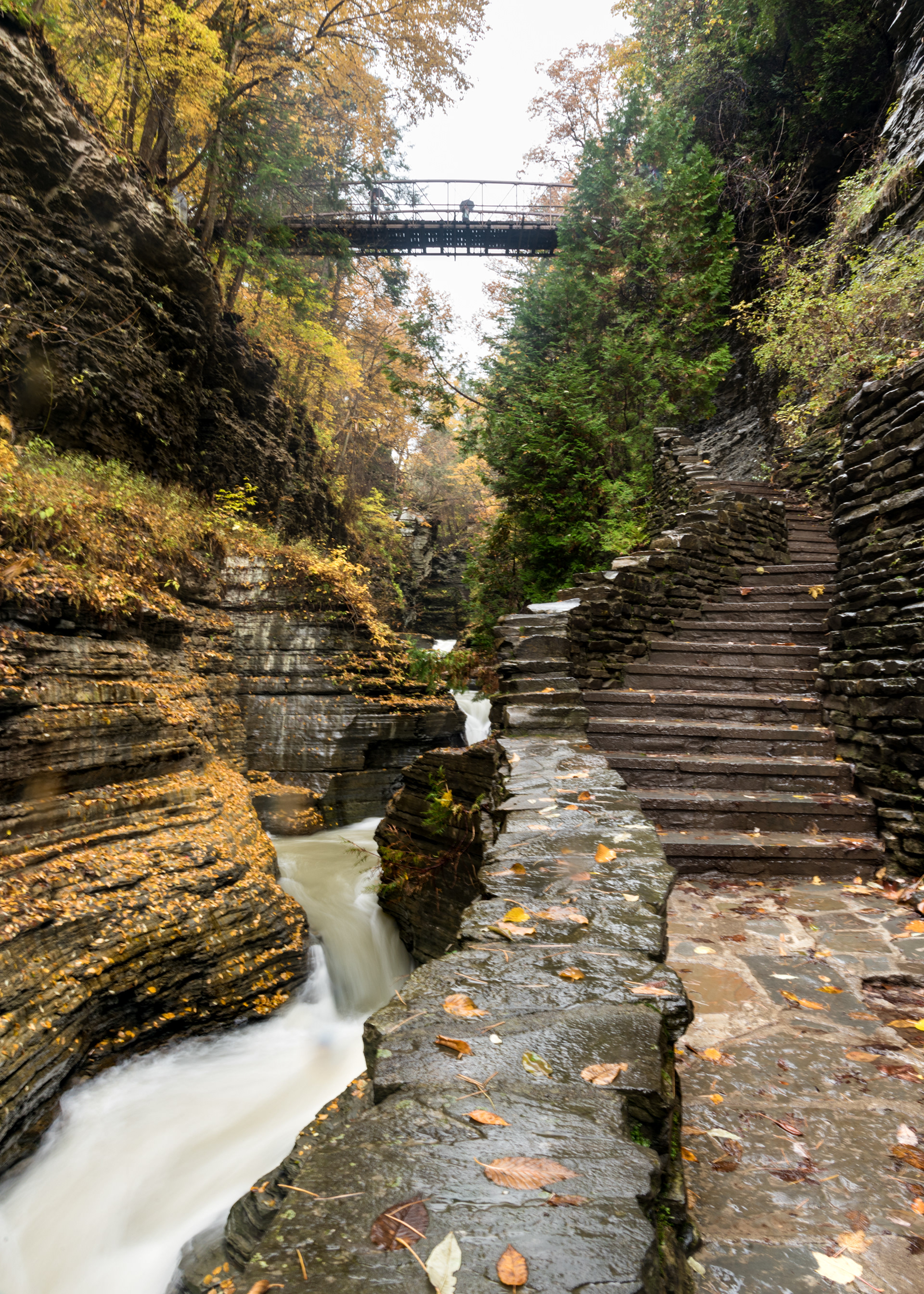 Watkins Glen, New York