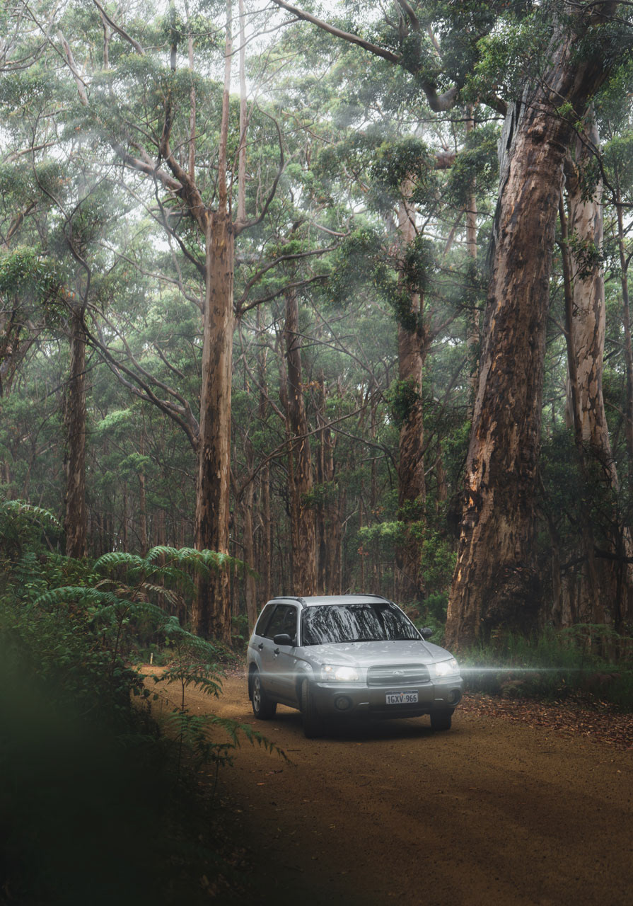 Subaru Forester, Australia South West