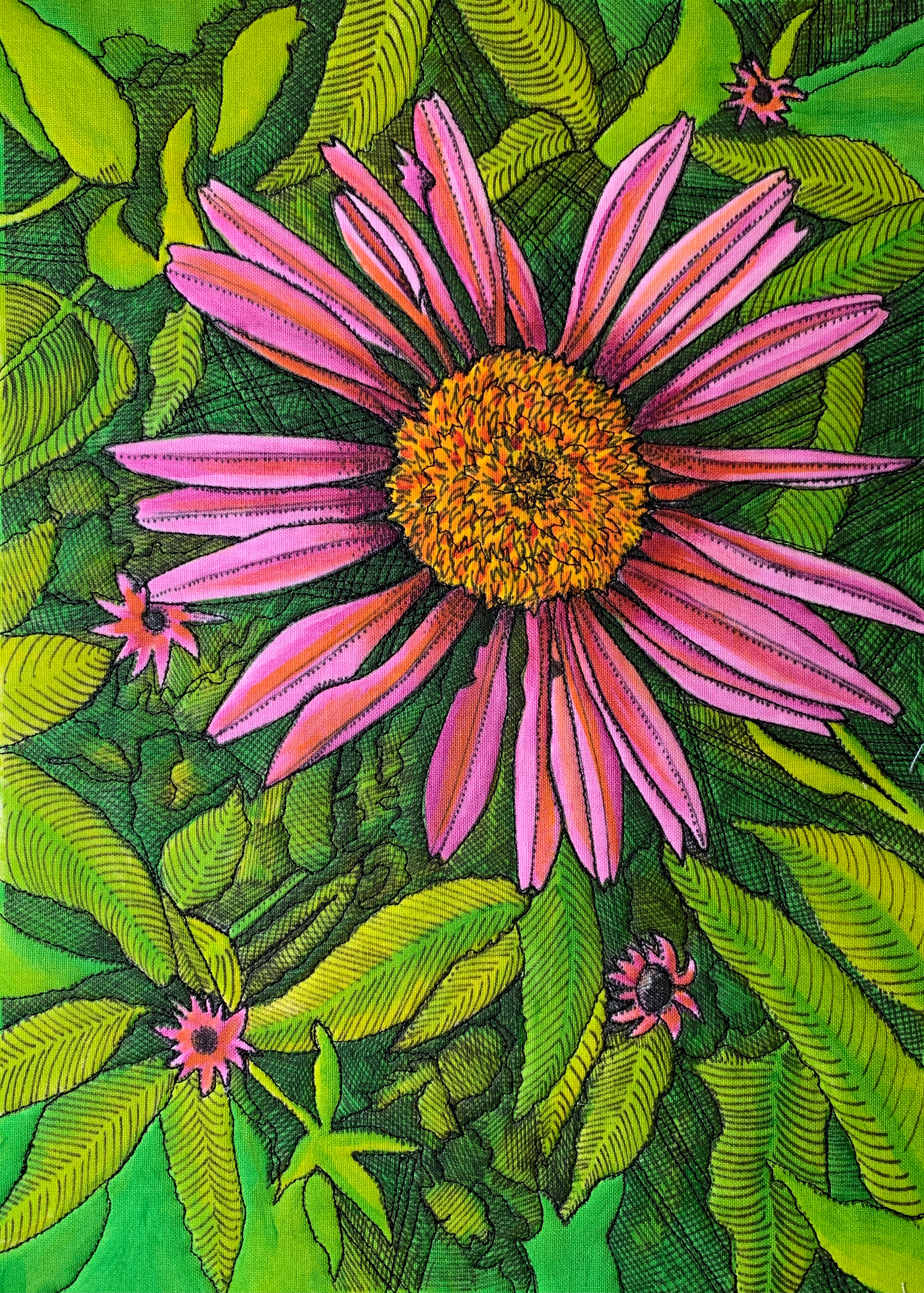 Coneflower in Pink