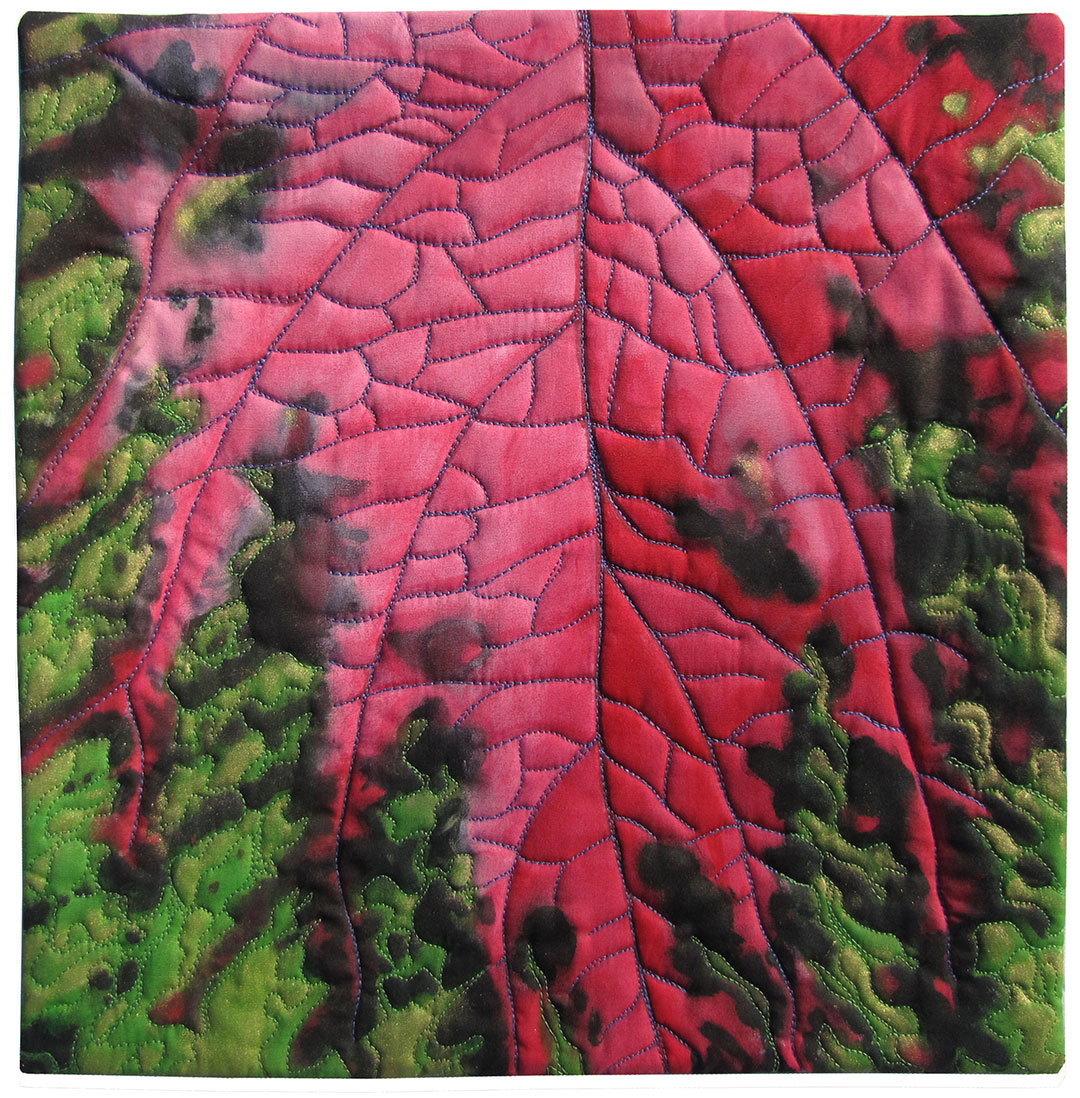 Red Coleus
