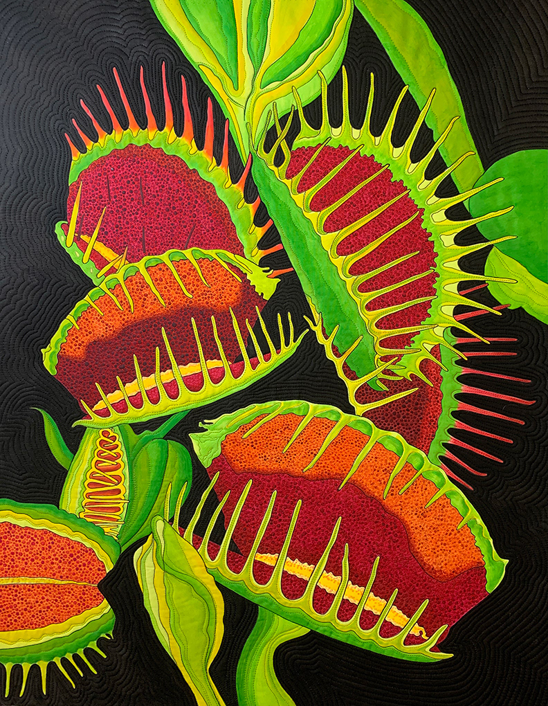 Venus Flytrap