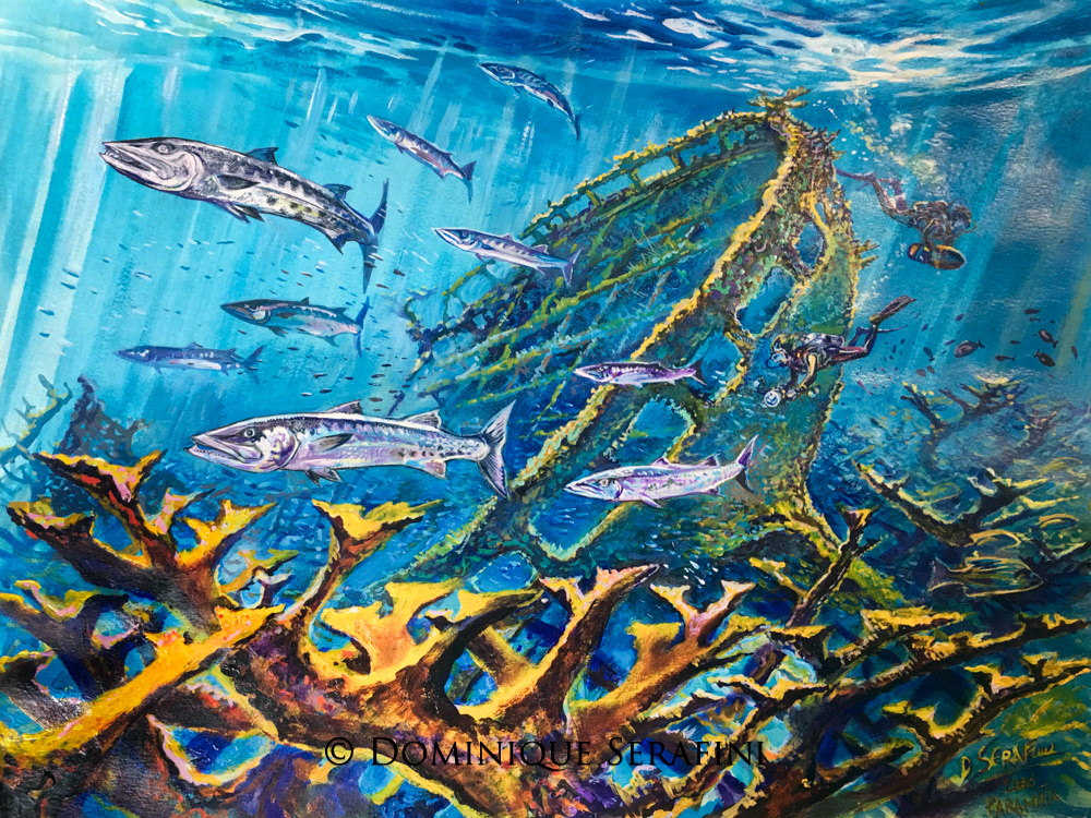 The Paramatta, Anegada - British Virgin Islands by Dominique Serafini