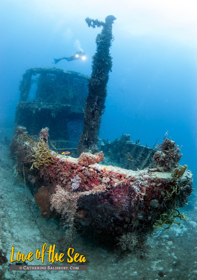 The Christena shipwreck, Nevis by Cathy Salisbury