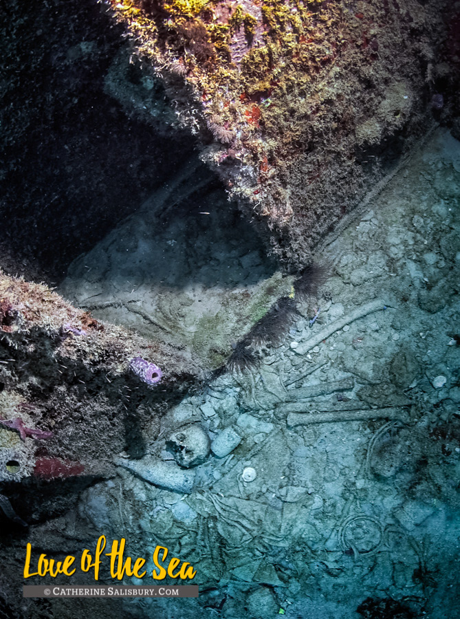 The Christena shipwreck, Nevis by Cathy Salisbury