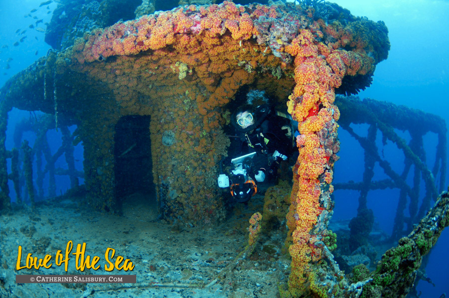 The Wit Shoal (USS LST-467) shipwreck, St Thomas USVI by Cathy Salisbury