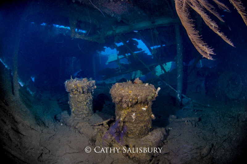 The Bianca C, Grenada by Cathy Salisbury