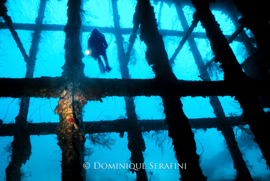 The Windjammer, Bonaire by Dominique Serafini
