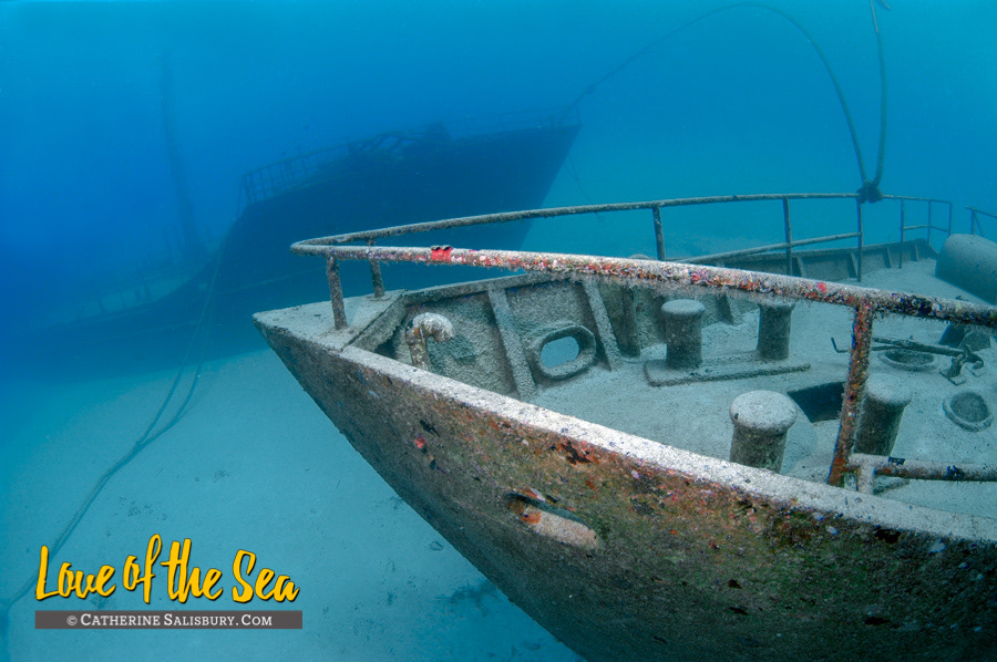 Ray of Hope, New Providence, BAHAMAS by Cathy Salisbury