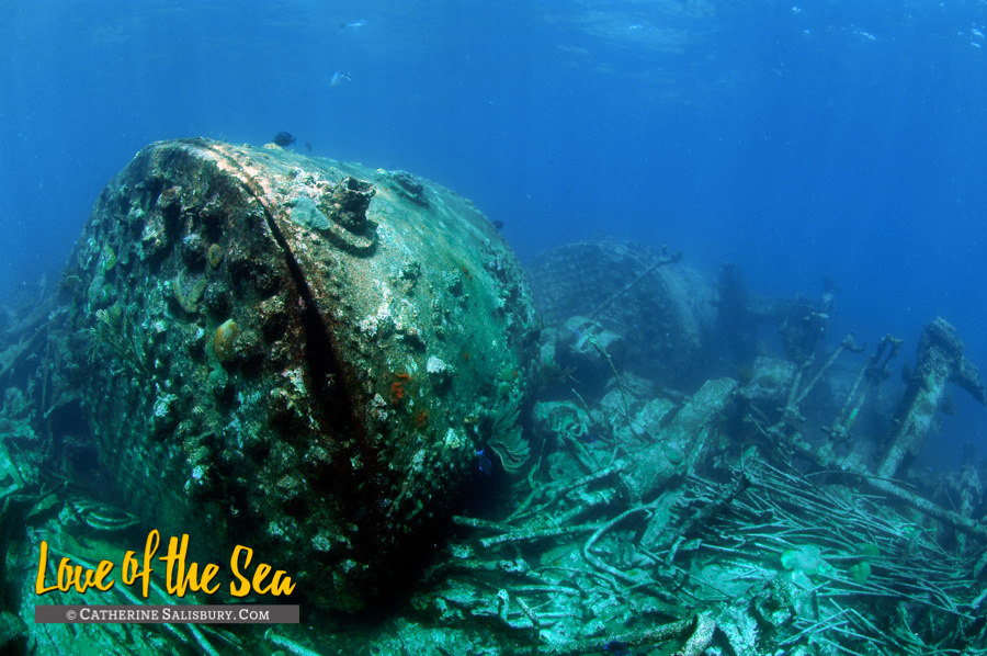 The Rocus aka The Bone Wreck, Anegada, British Virgin Islands by Cathy Salisbury