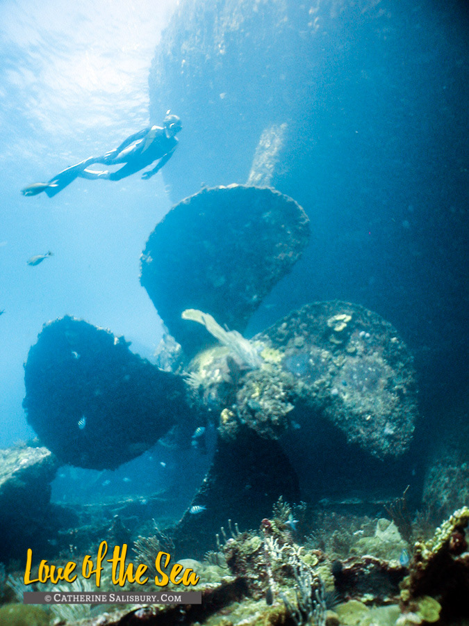 Dreamwrecks Ss Antilles Mustique