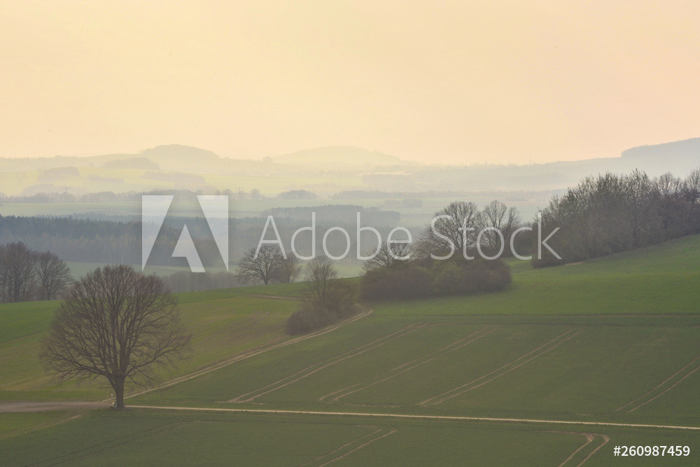 Abendstimmung im Frühling im Lausitzer Bergland in Sachsen