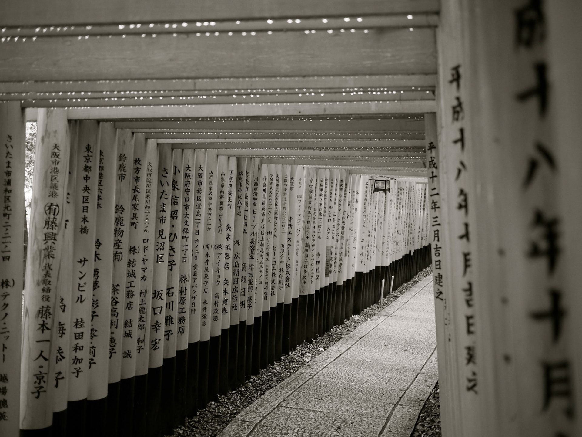 Dan Walton Travel Photography And More Asia Dan Walton Travel Photography And More Asia