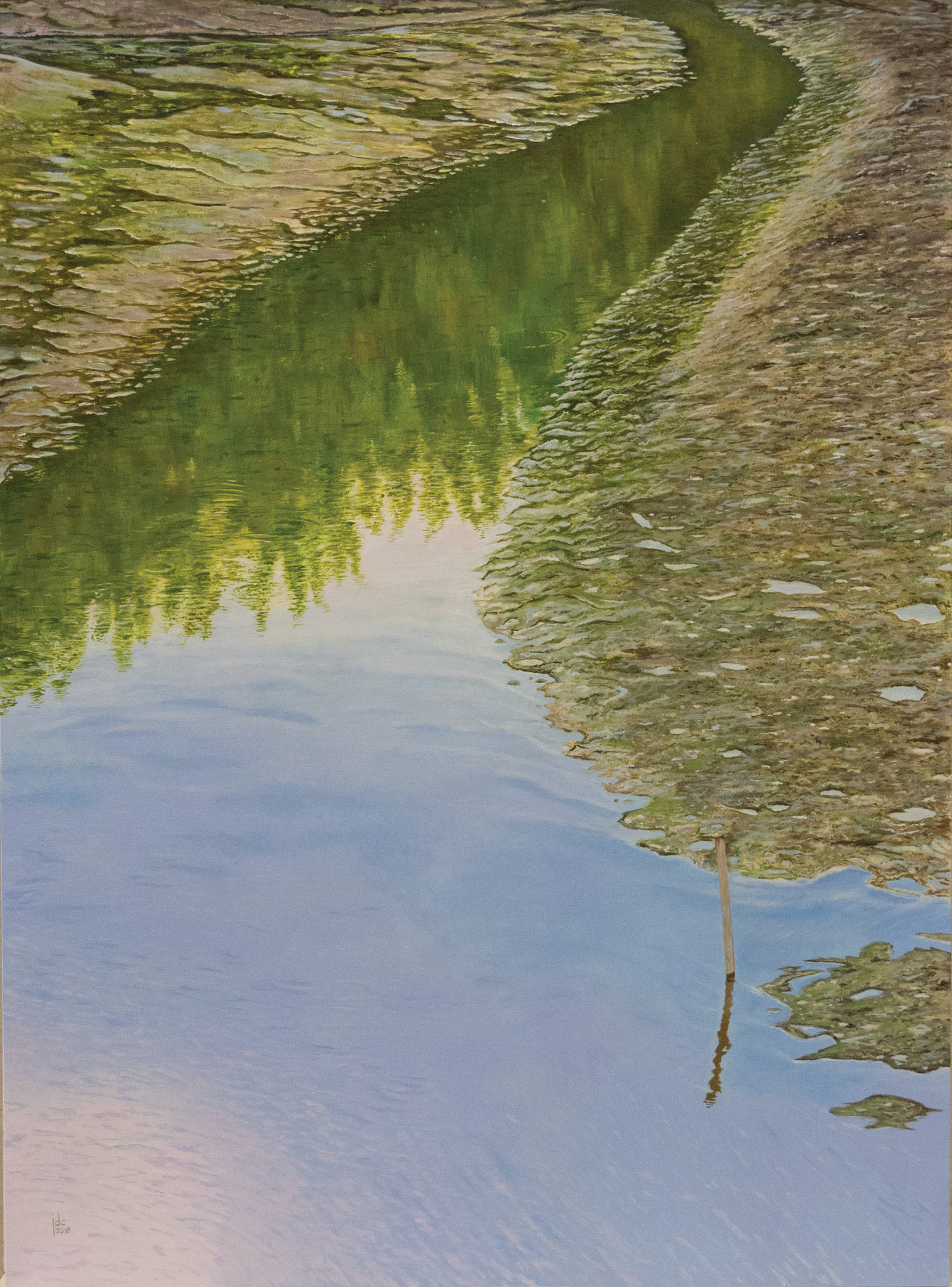 Tide Puddle - oil on panel - 60 x 80 cm