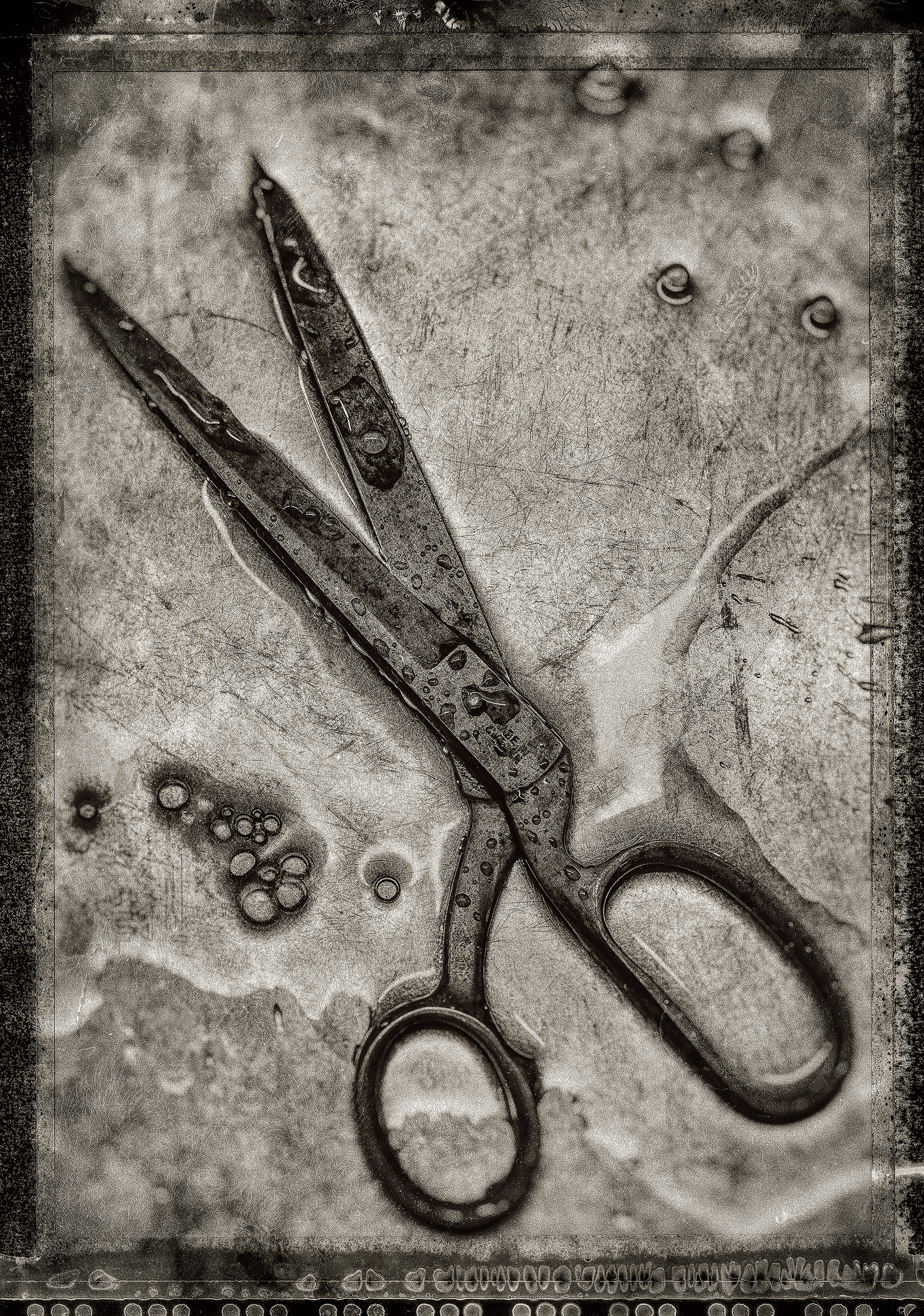 Old type scissors on a wet  metal shiny surface with water and bubbles. Photogrphed with a dirty grimy look with a large format polaroid type border and black and white