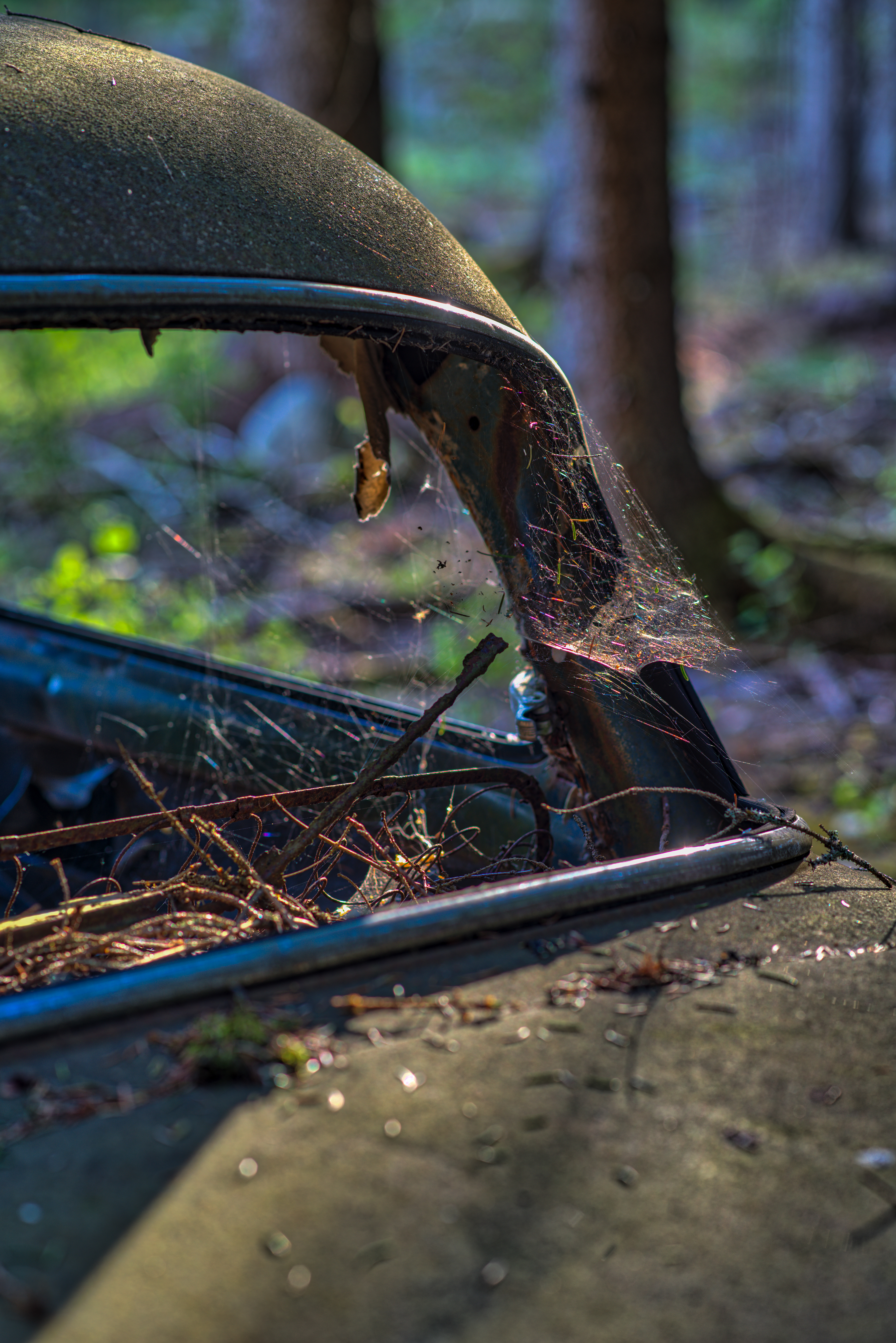 Close up of the rear of old decaying Opel with cobwebs growing in place of rear window
