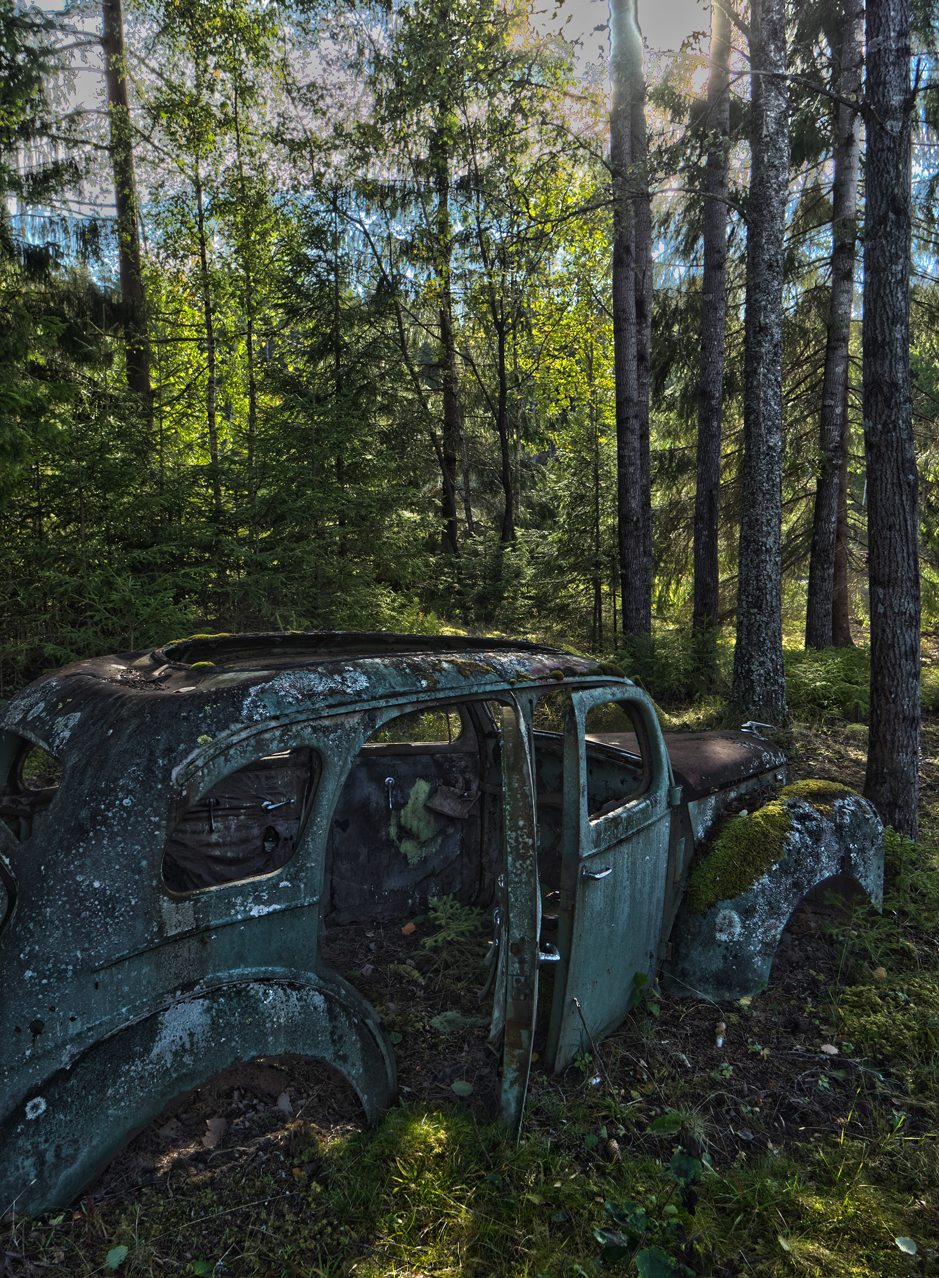 Old rusty decaying vintage Ford Prefect abandoned in the woods