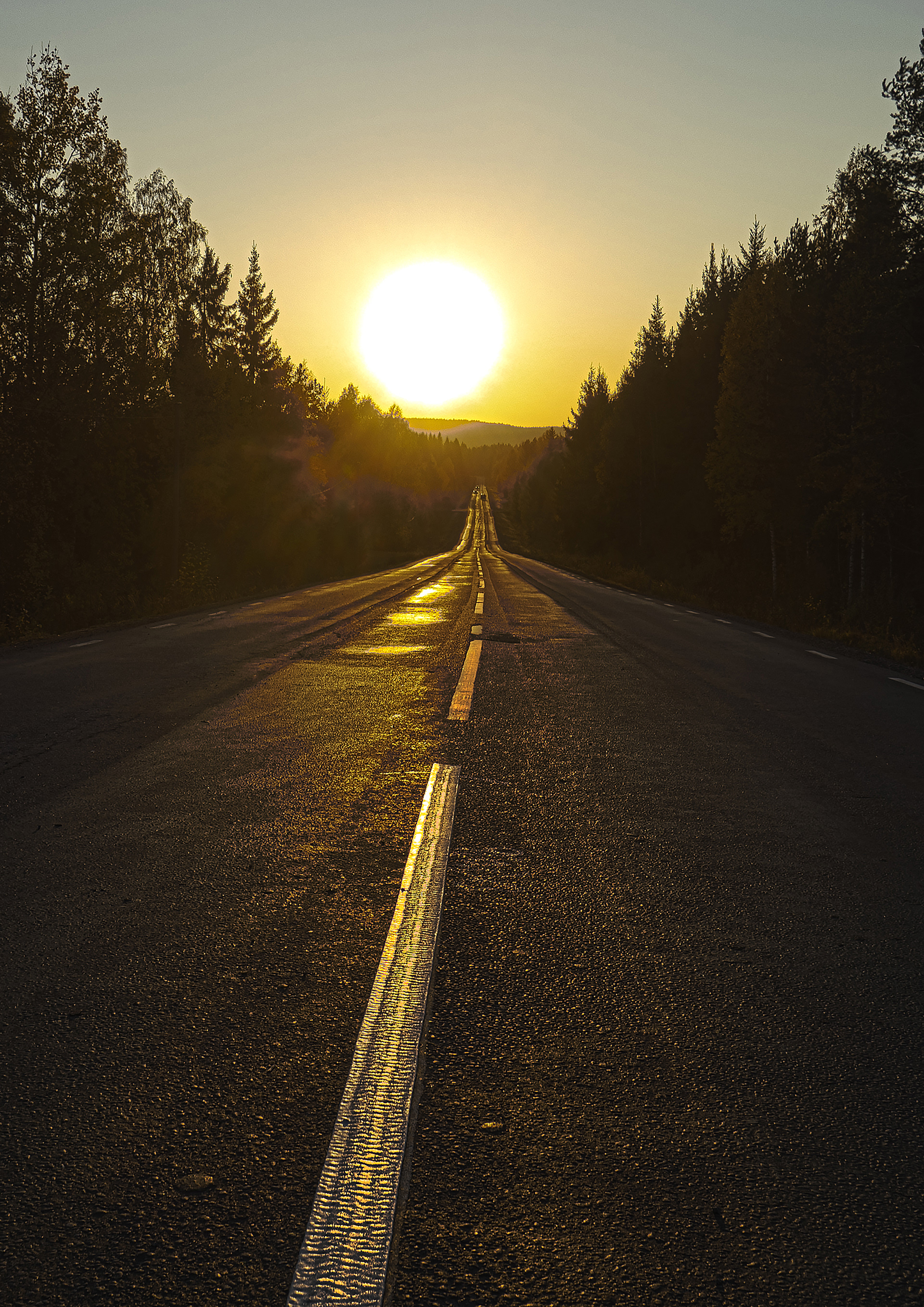 A very long straight road in Sweden lined with trees on both sides and a large sun in the middle