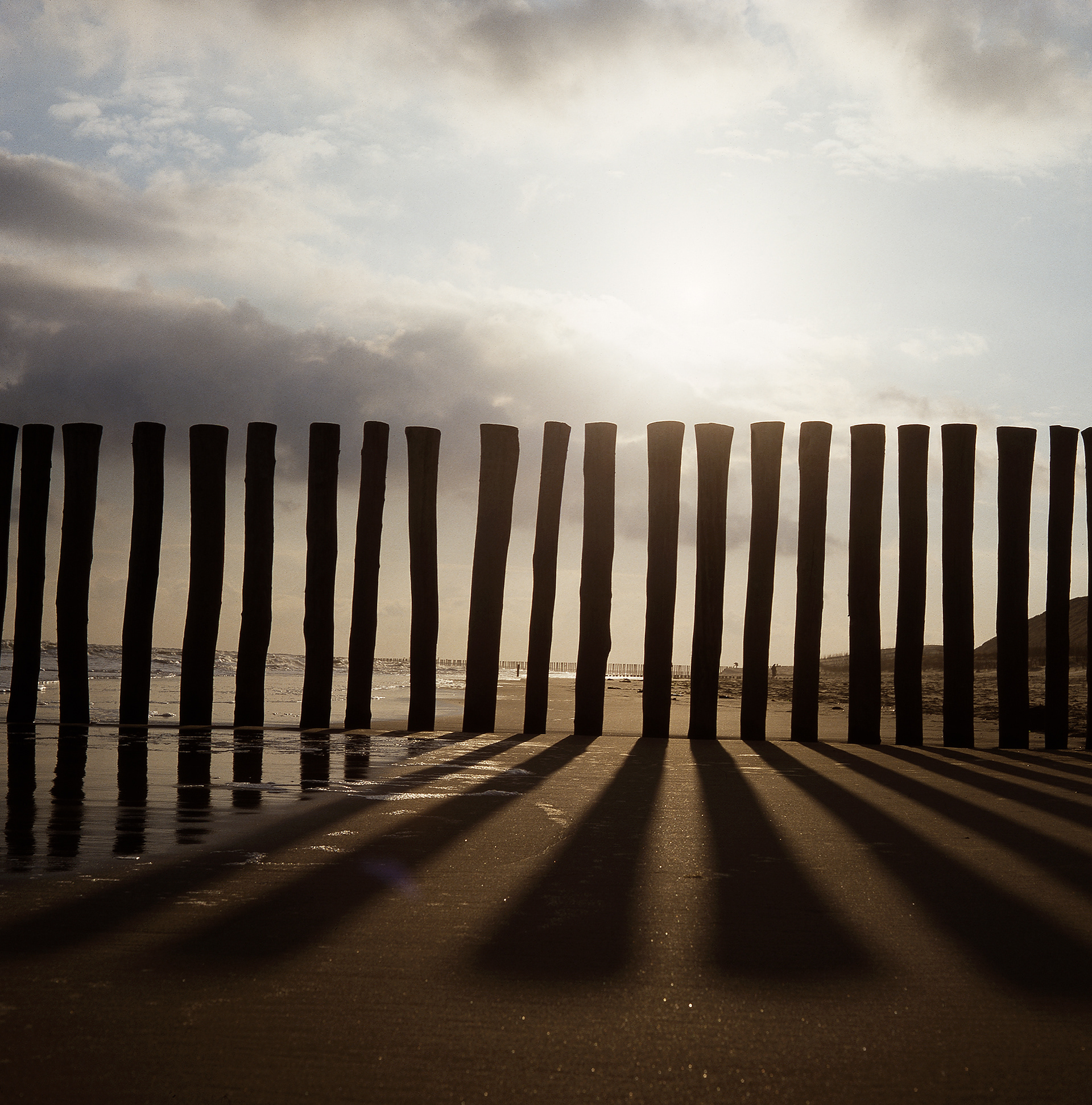 A line of large poles by the beach going into the sea in Holland with the sun casting long shadows