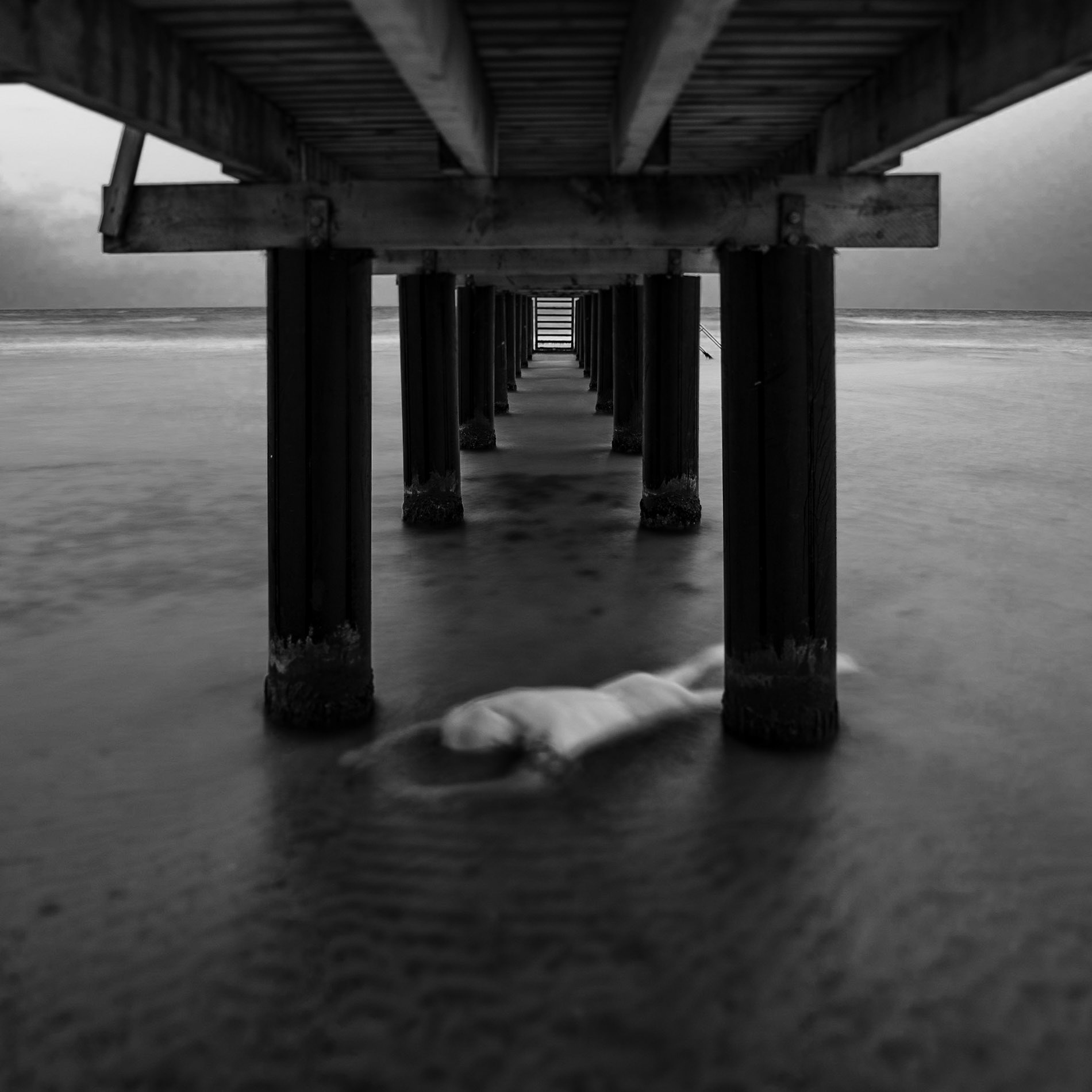 Jetty (2020)