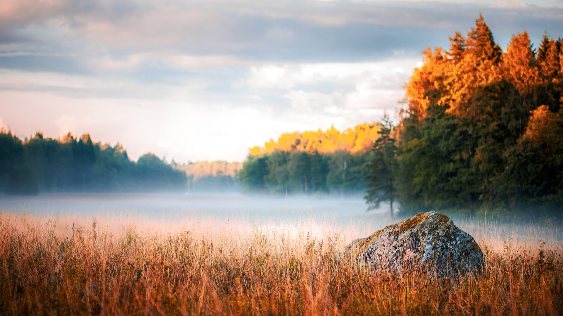 Porkkalanniemi