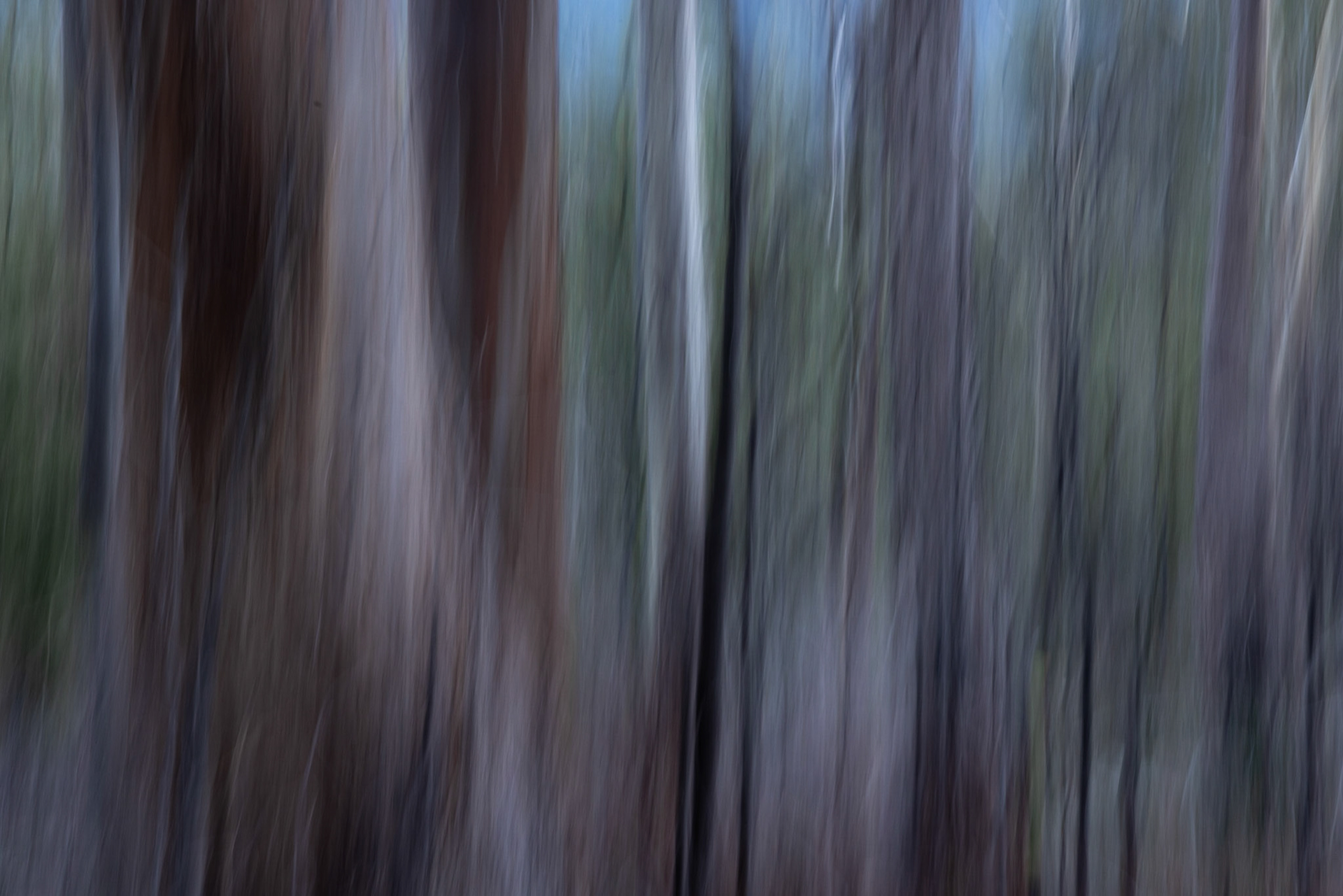 08/2021photo - Peter Mathew