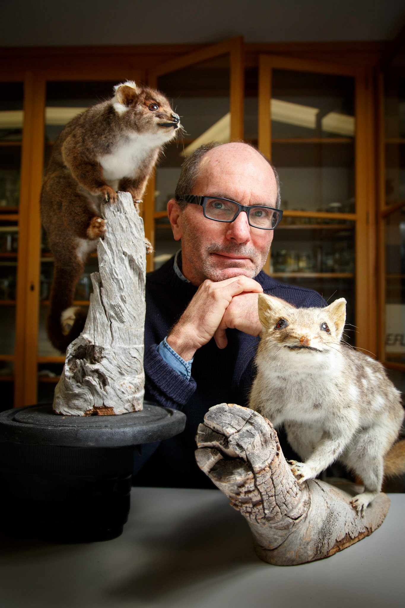 Professor Chris Johnson