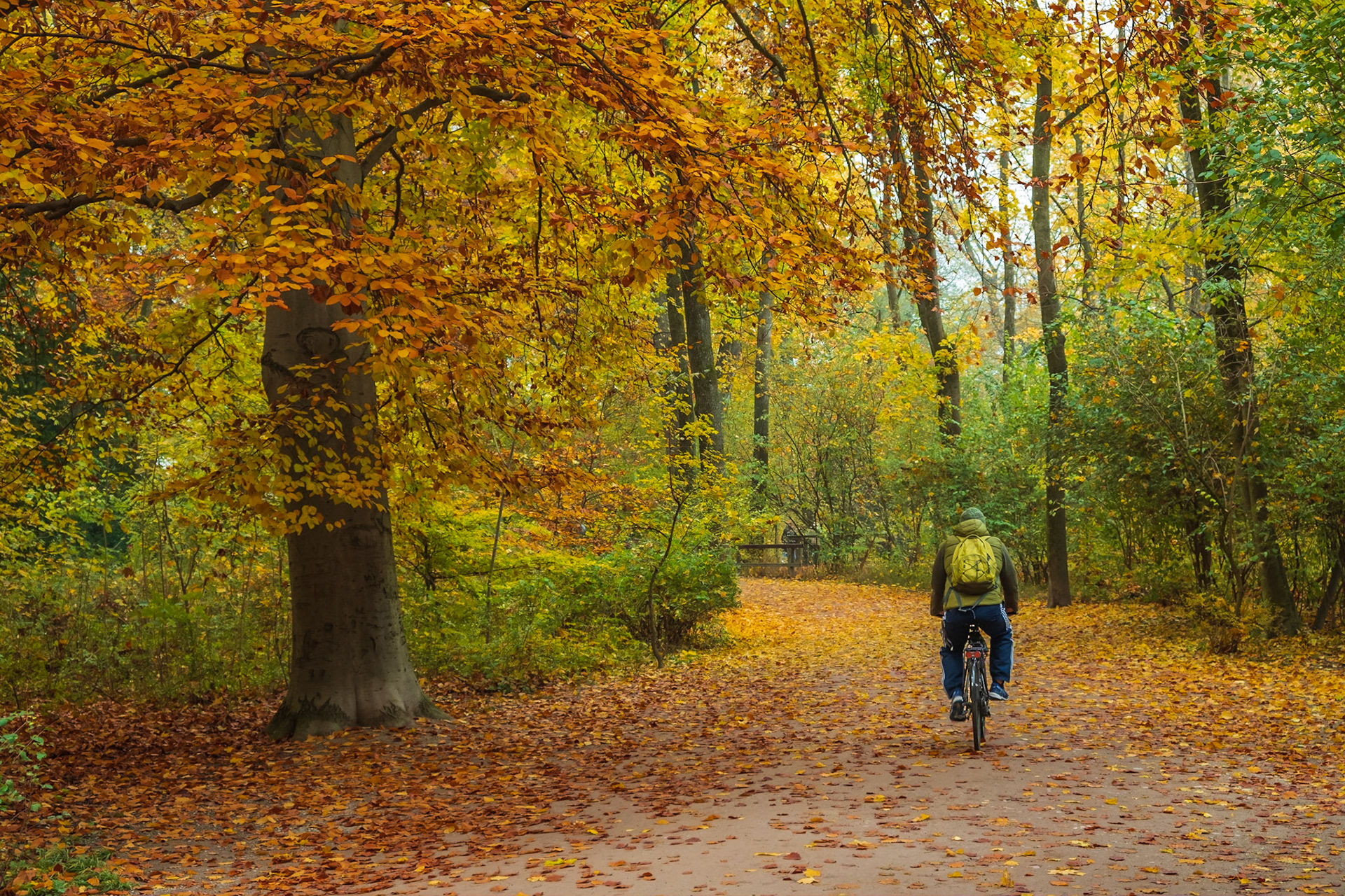 2019 | Germany, Munich | Englischen Garten