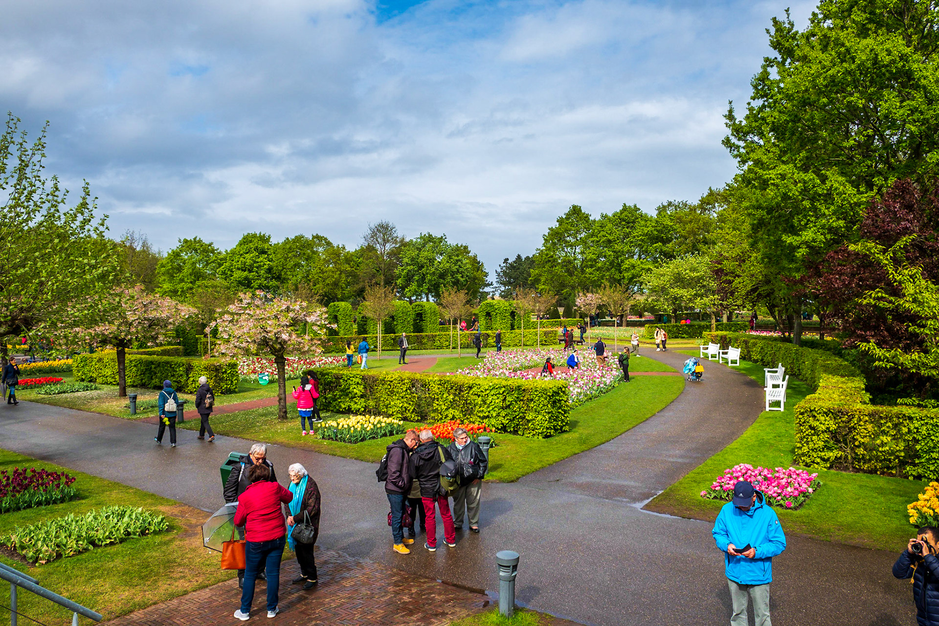 2019 | Netherlands, Keukenhof