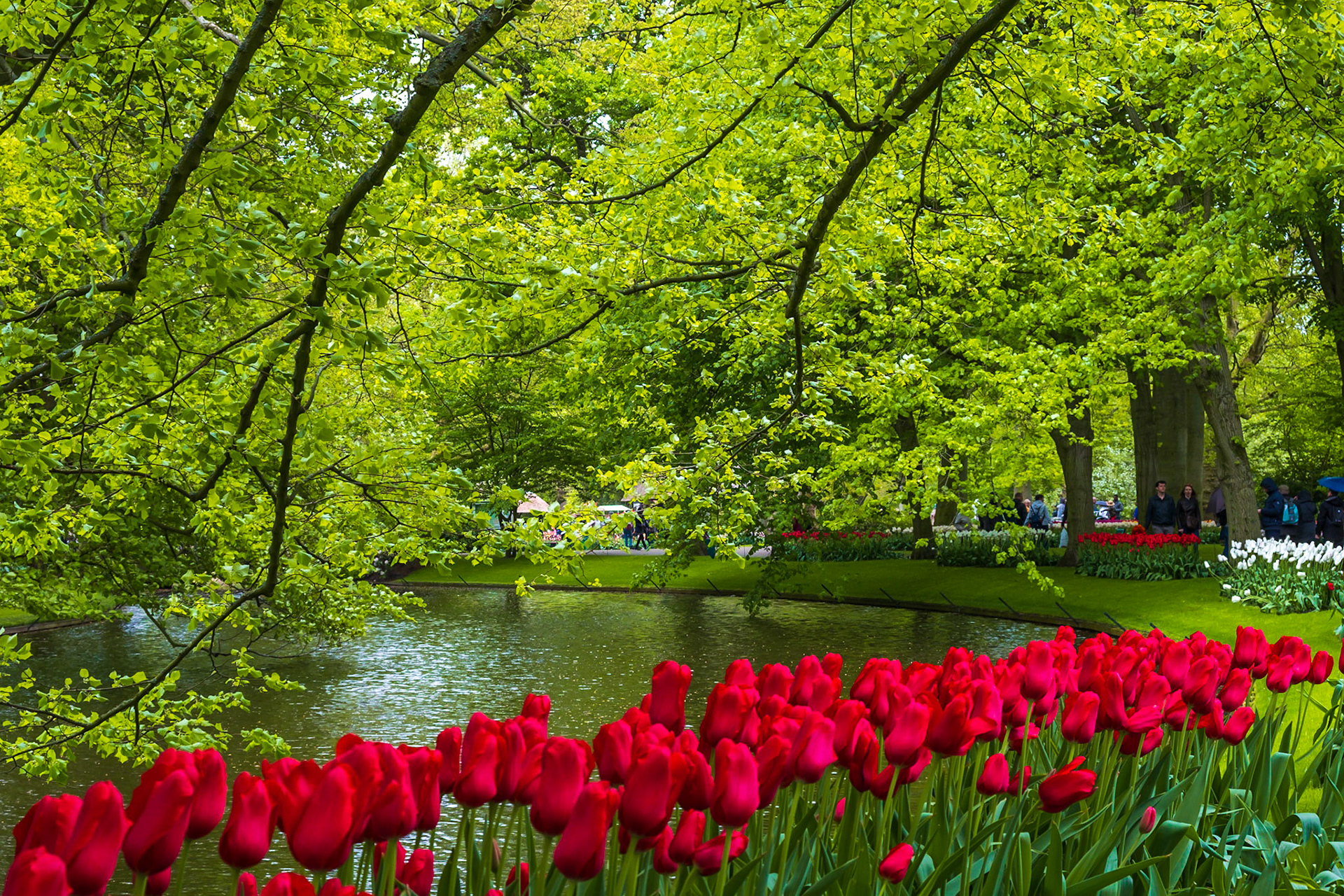 2019 | Netherlands, Keukenhof