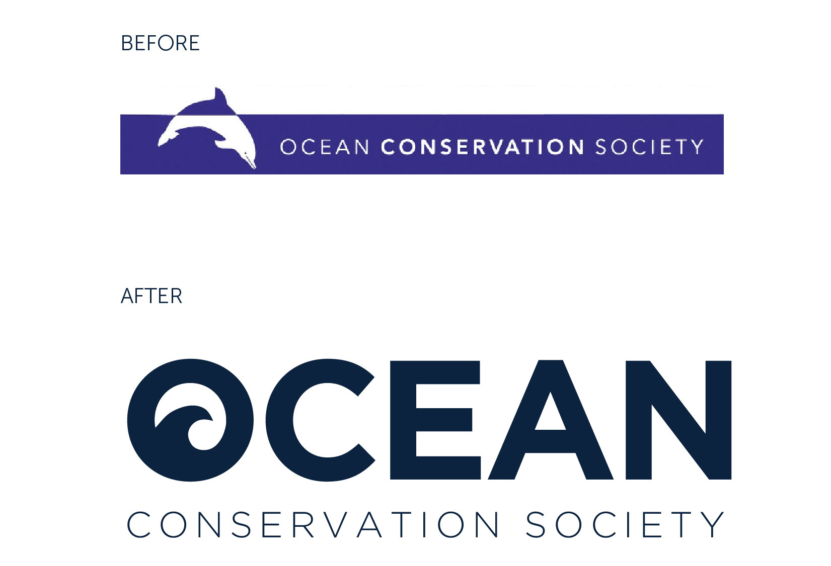 Anne Dursema - Ocean Conservation Society