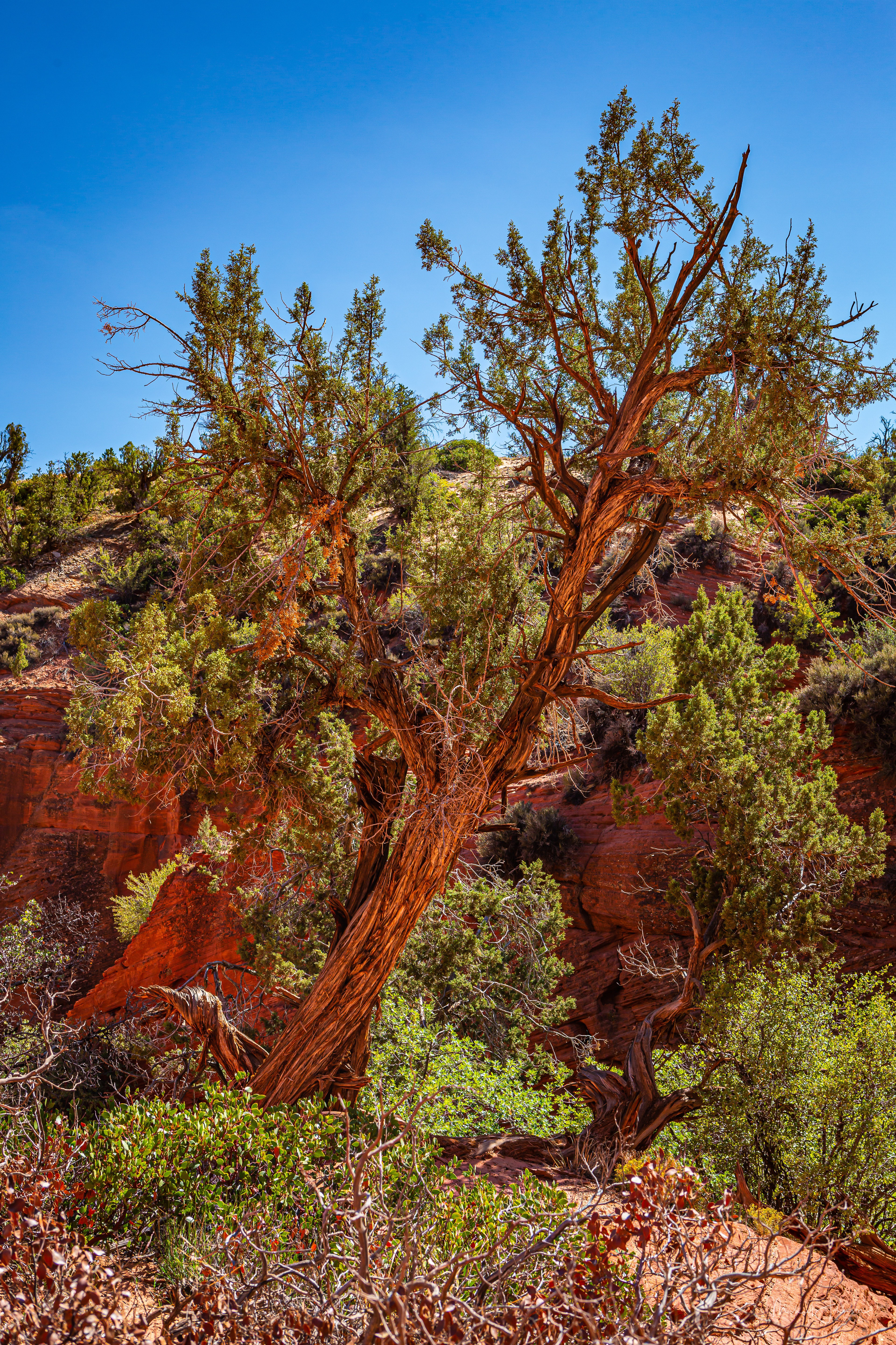Peekaboo Slot Canyon