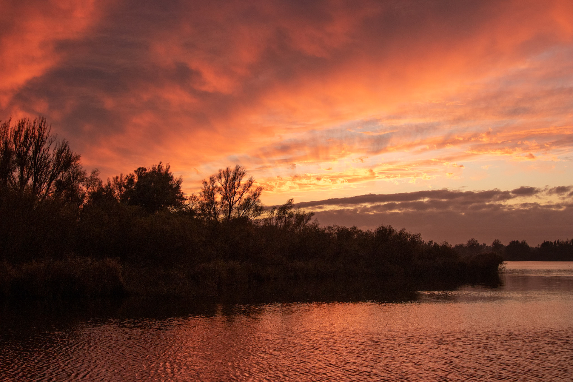 Zonsondergang Lepelaarsplassen