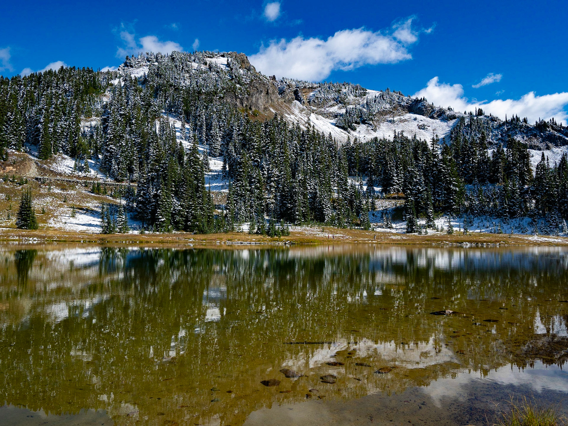 Brandon Carter - Mt. Rainier National Park