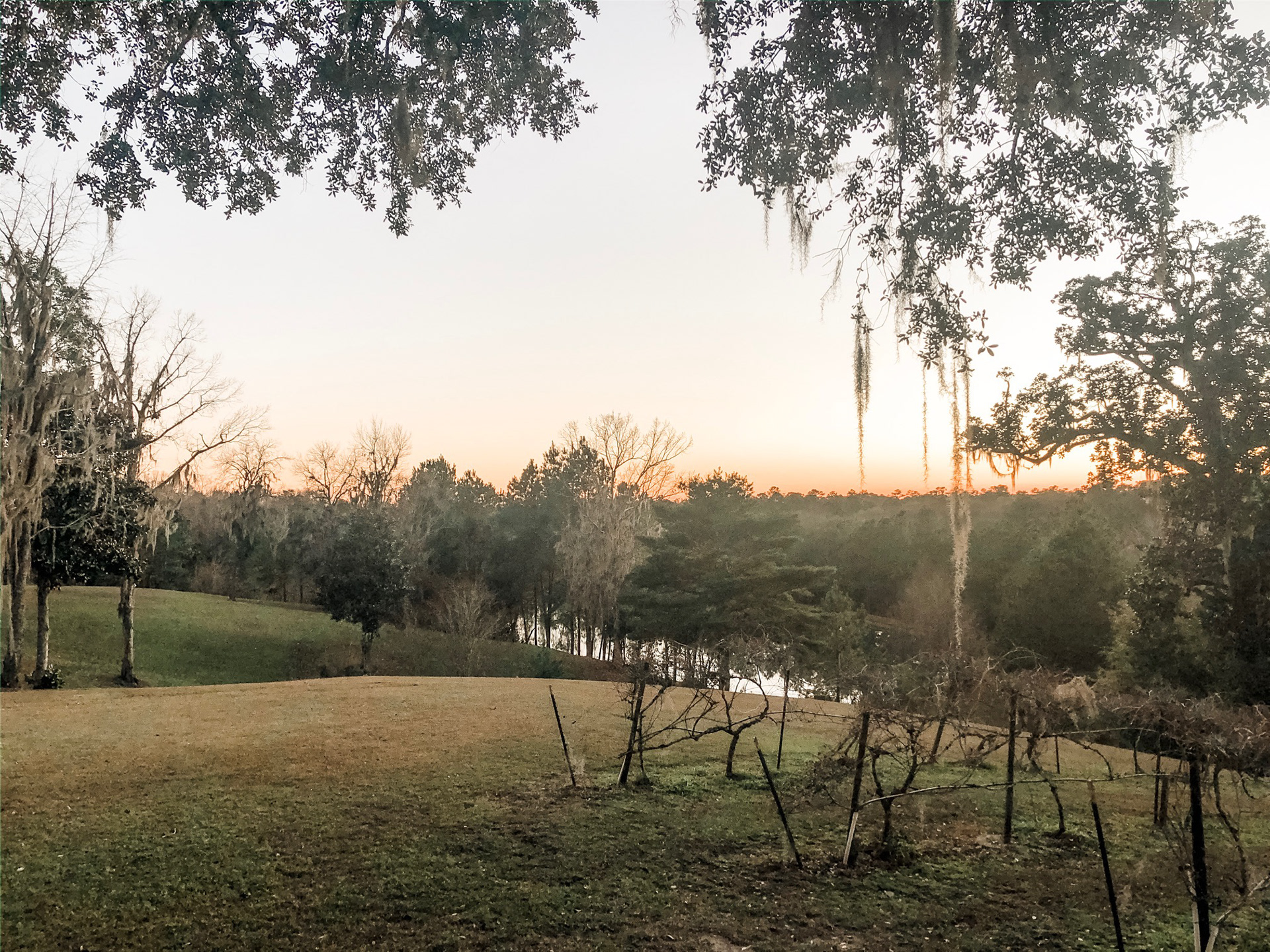 View from circle oak bench