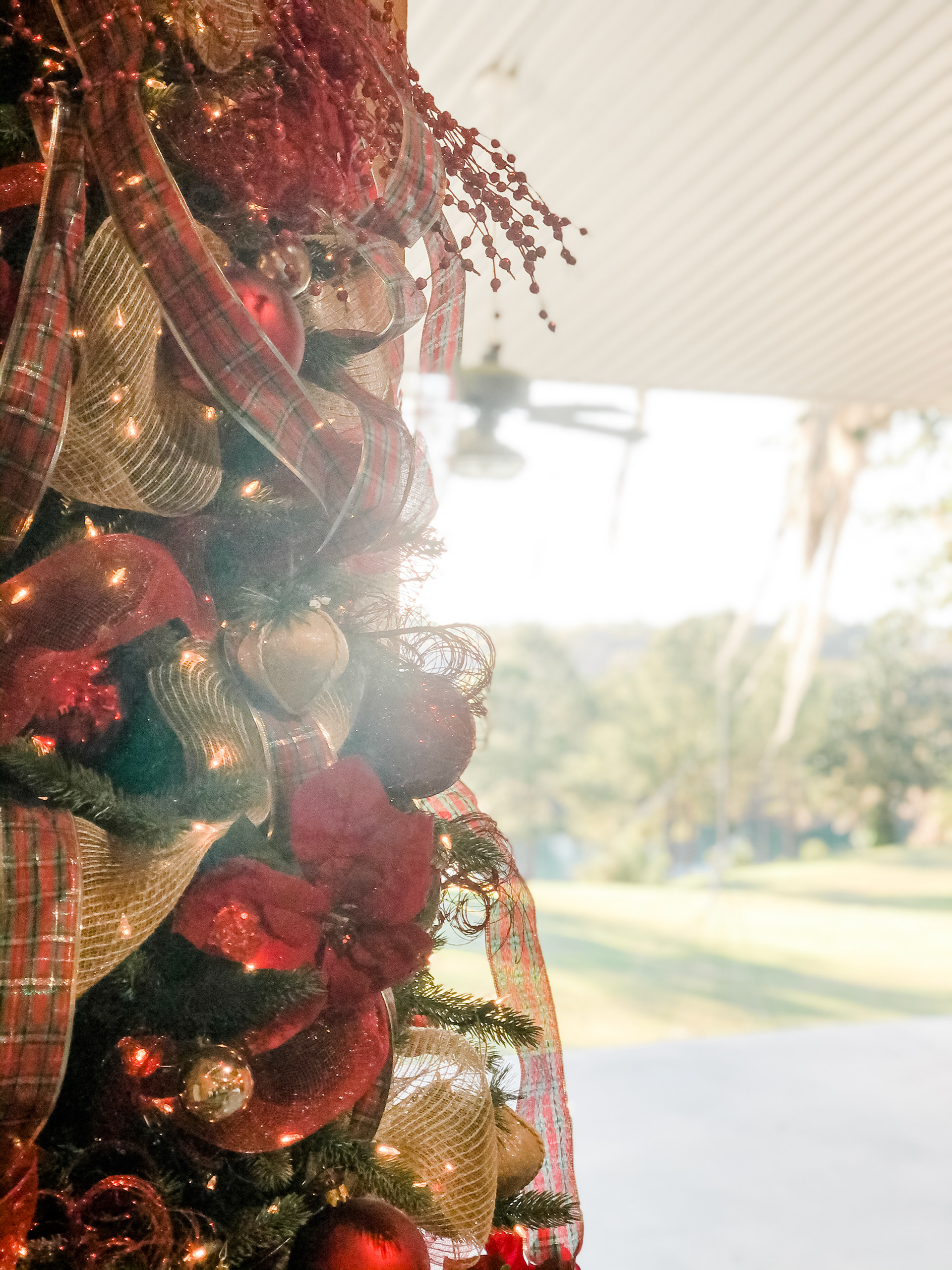Barn Christmas tree with a view.