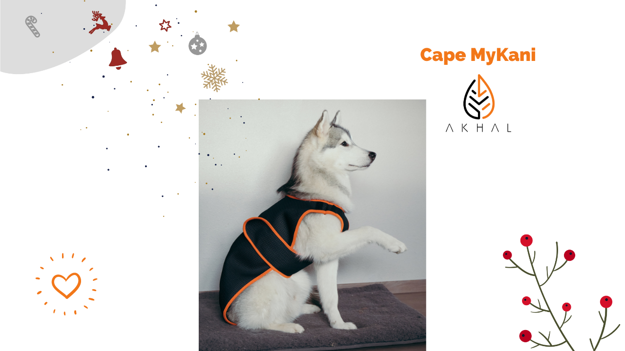 cadeau-chien-cape-mykani