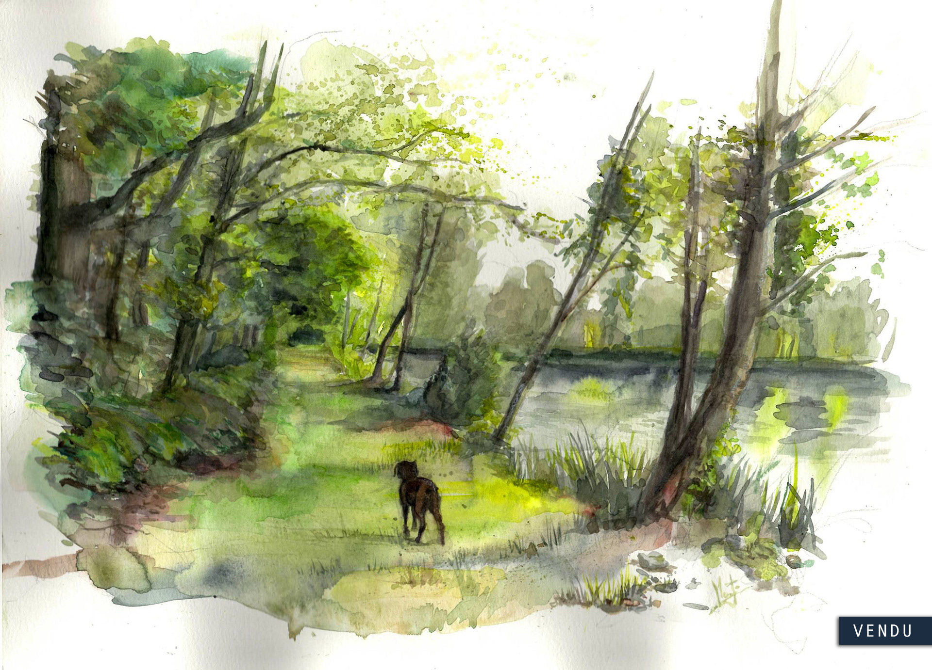 Forêt de Coëtquen