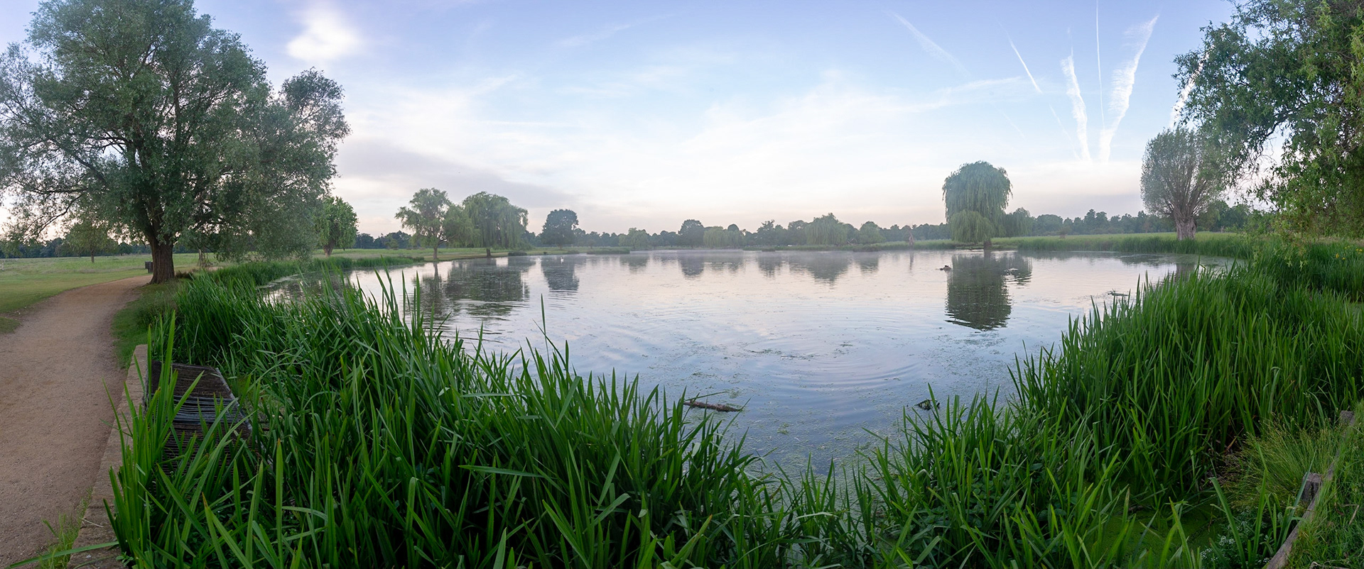 Heron Pond Panorama