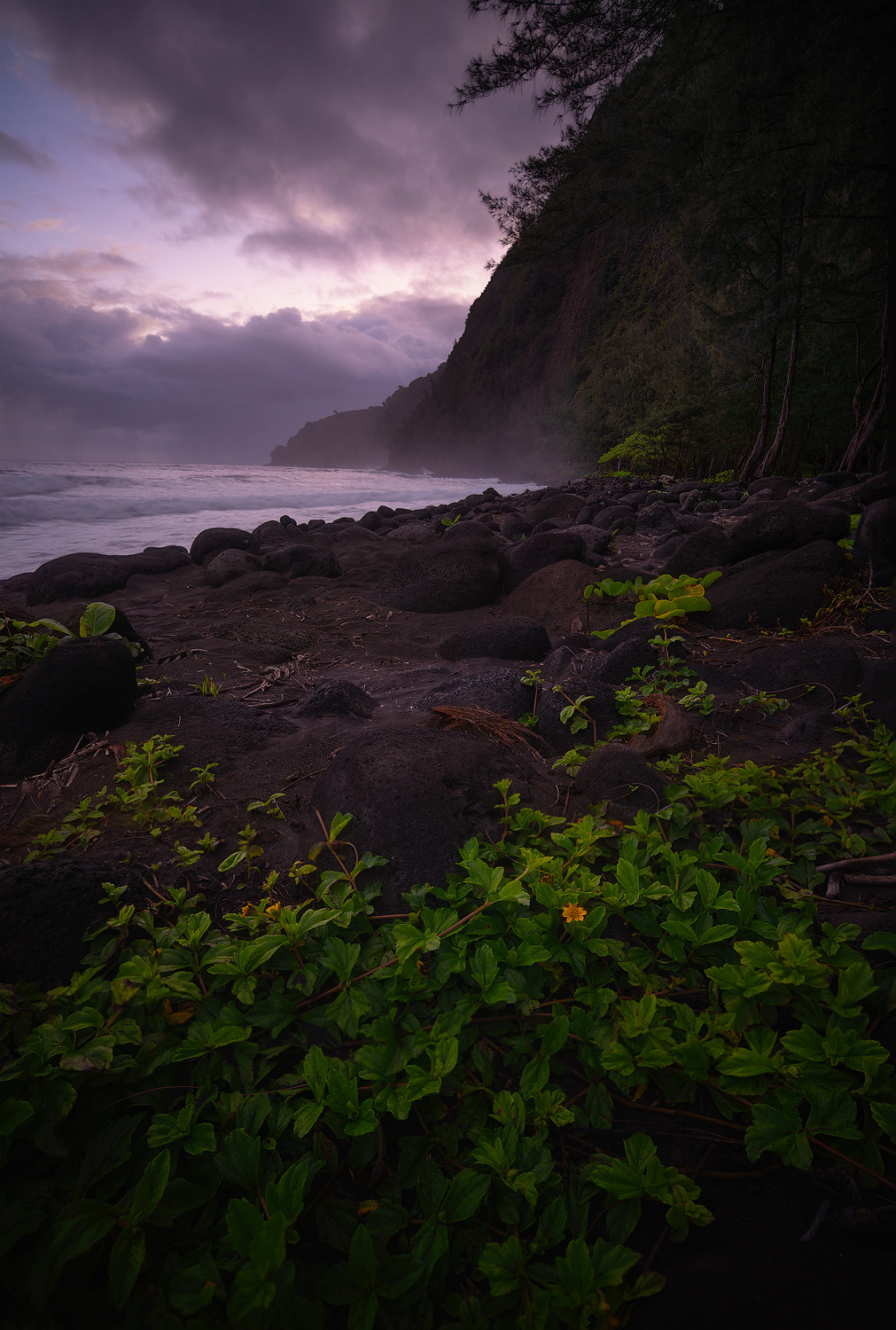 Big Island, HI, 2019