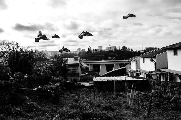 Paulo Pimenta, Cidade do Porto, 2015 COD: P012