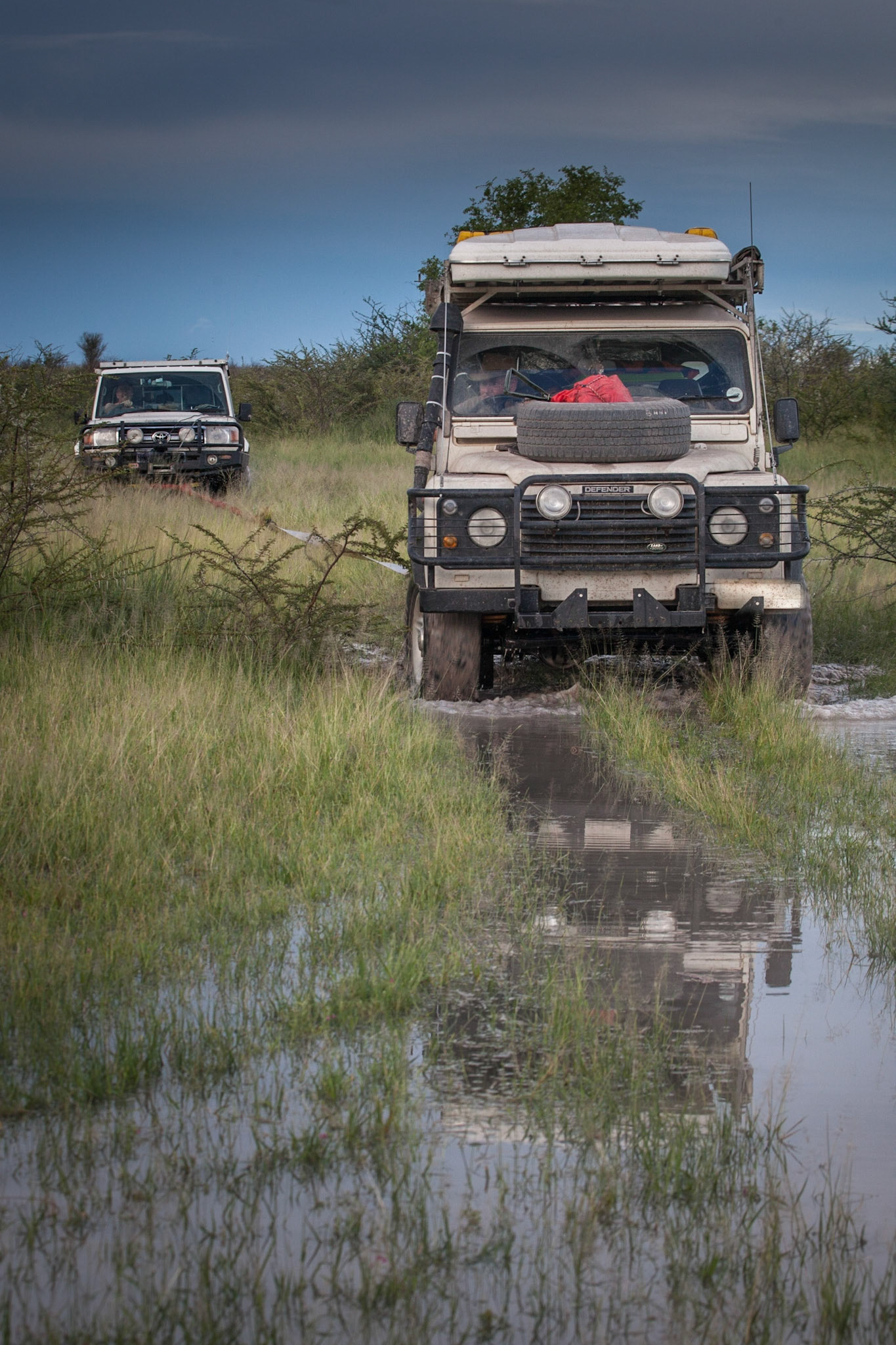 Botswana ©McNairnPhotography