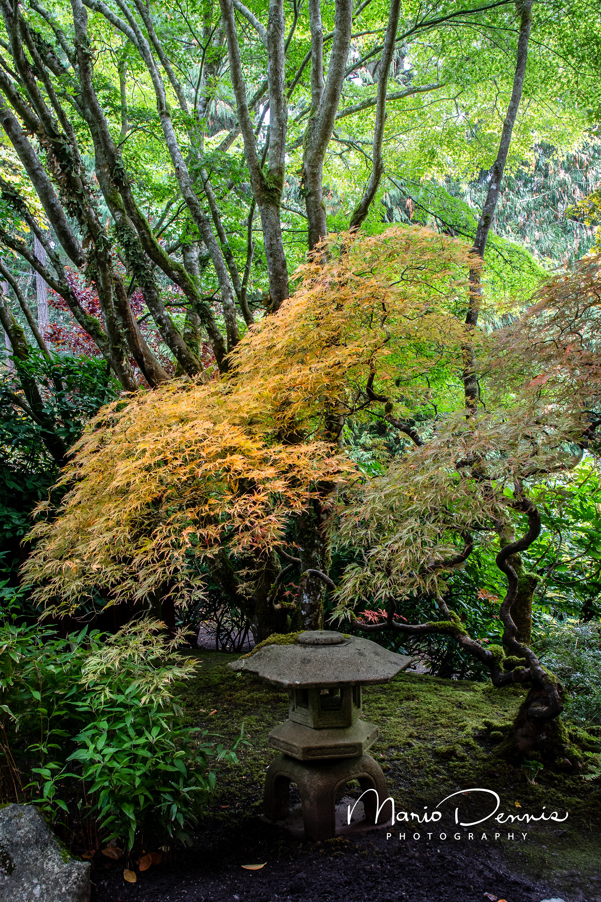 Butchart Gardens, Victoria, BC
